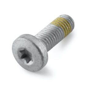 Hex screw with internal Torx with collar M10x30